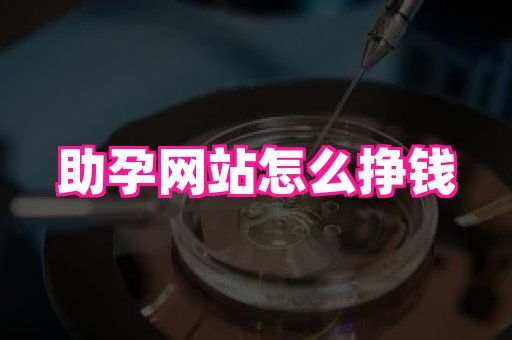 东莞助孕网站 3