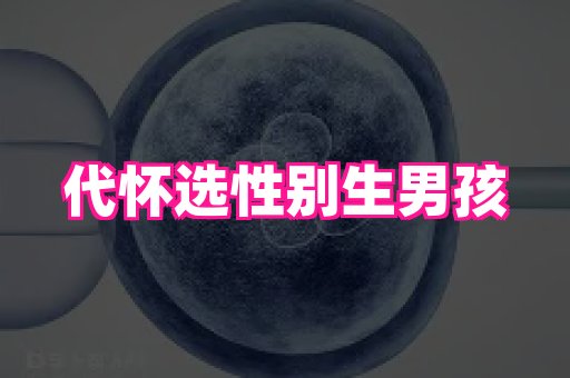 东莞助孕网站 4